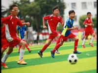 马德里竞技VS阿森纳直播_马德里竞技VS阿森纳免费在线高清直播_马德里竞技VS阿森纳视频在线观看无插件