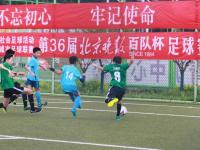 巴黎VS拜仁直播_巴黎VS拜仁免费在线高清直播_巴黎VS拜仁视频在线观看无插件